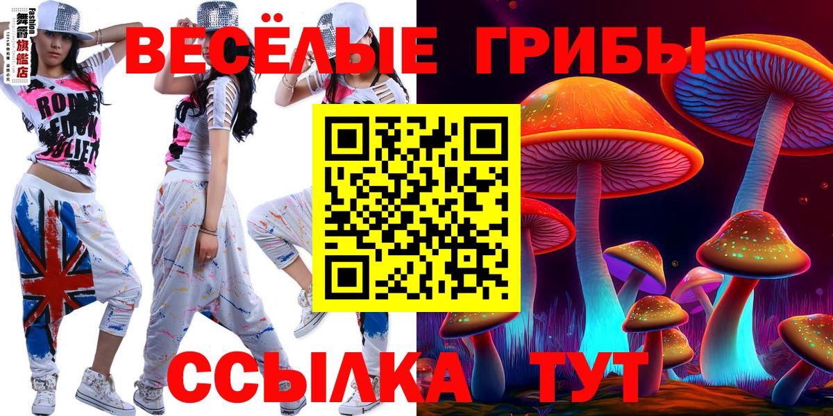 Галлюциногенные грибы GOLDEN TEACHER Прокопьевск